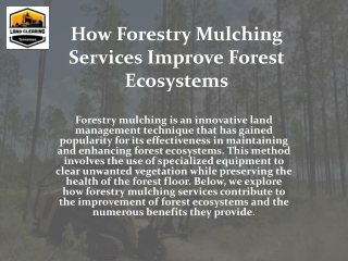 How Forestry Mulching Services Improve Forest Ecosystems