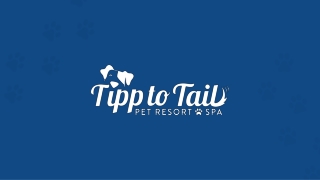 Exceptional Pet Care in Vandalia, OH