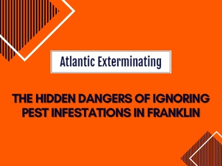 The Hidden Dangers of Ignoring Pest Infestations in Franklin