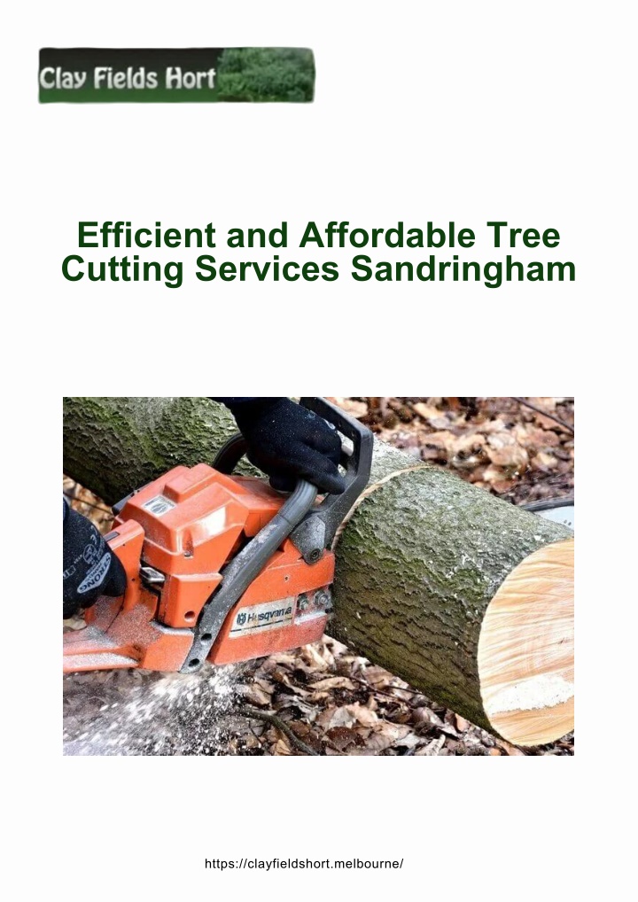 efficient and affordable tree cutting services