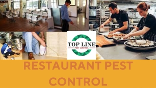 Restaurant Pest Control