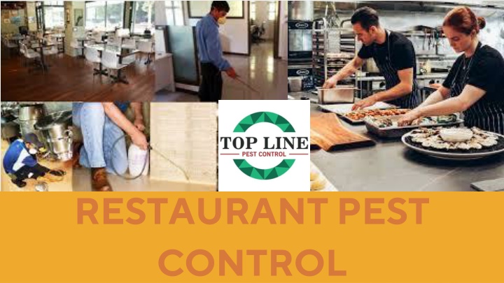 restaurant pest control