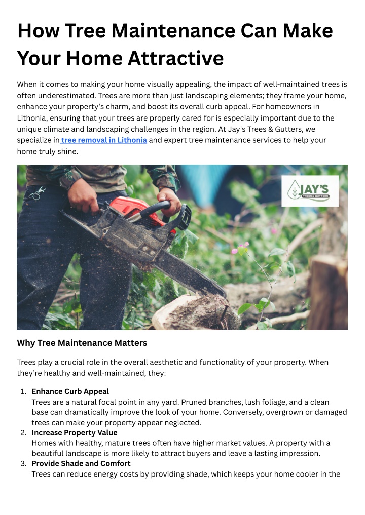 how tree maintenance can make your home attractive