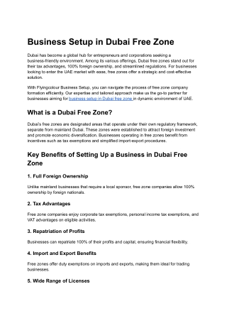 Comprehensive Guide to Business Setup in Dubai Free Zone