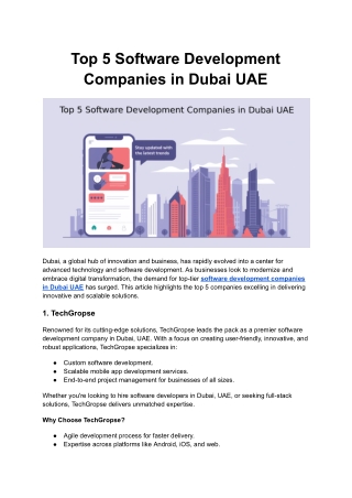 Top 5 Software Development Companies in Dubai UAE