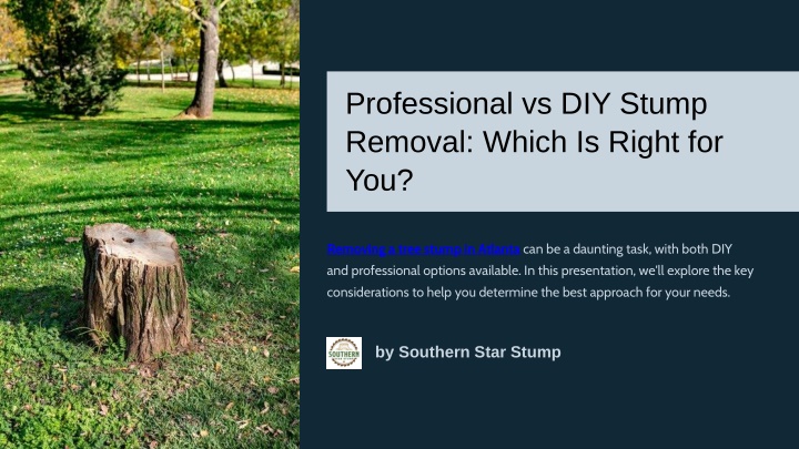 professional vs diy stump removal which is right