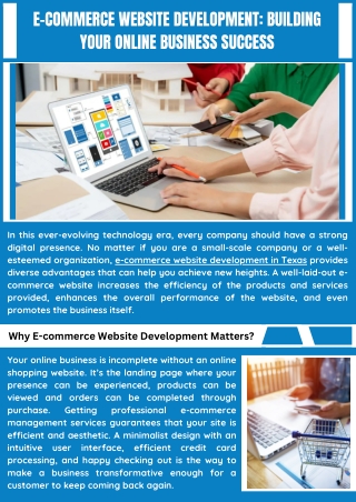 Professional Ecommerce Website Development Services