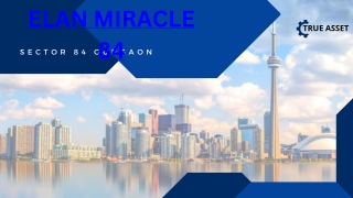 Elan Miracle 84