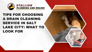 Tips for Choosing a Drain Cleaning Service in Salt Lake City What to Look For