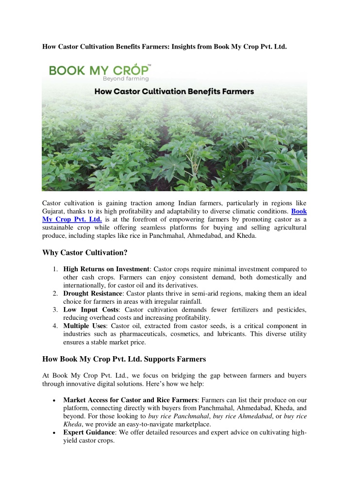 how castor cultivation benefits farmers insights