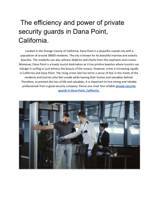 the efficiency and power of private security