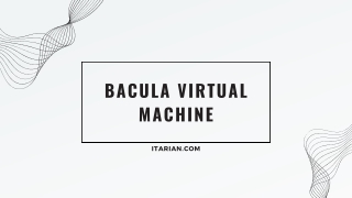 Bacula Virtual Machine: Major Working Principles and Features