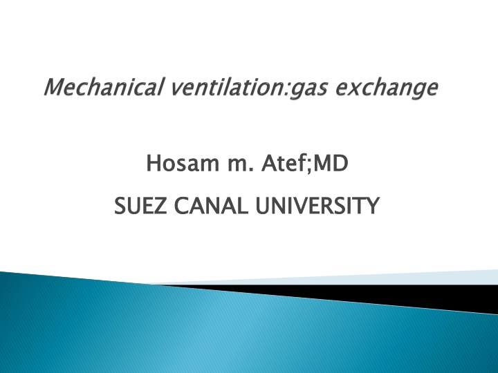 mechanical ventilation gas exchange