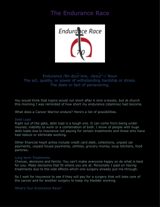 7.0 The Endurance Race