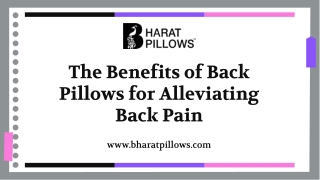 The Benefits of Back Pillows for Alleviating Back Pain