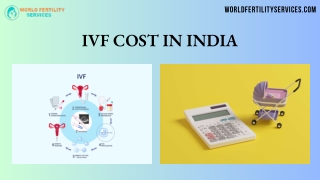 Affordable IVF Cost in India 2024 - World Fertility Services