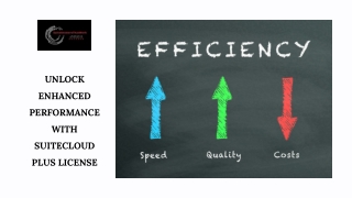 Optimize NetSuite Performance with SuiteCloud Plus License