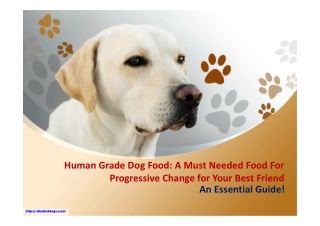 Human Grade Dog Food: A Must Needed Food For Progressive Change