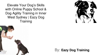 Online Puppy School Inner West