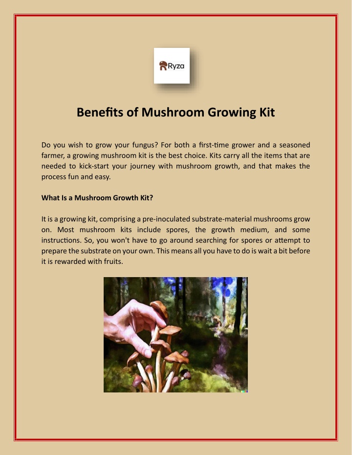 benefits of mushroom growing kit do you wish