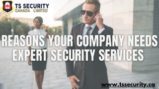 Reasons Your Company Needs Expert Security Services