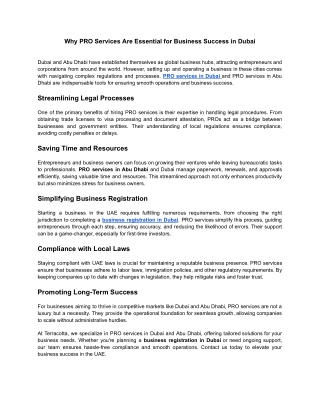 Why PRO Services Are Essential for Business Success in Dubai