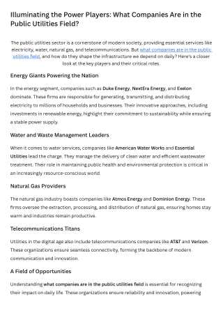 illuminating the power players what companies