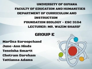 university of guyana faculty of education