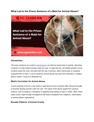 What Led to the Prison Sentence of a Maid for Animal Abuse_