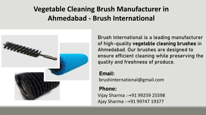 vegetable cleaning brush manufacturer