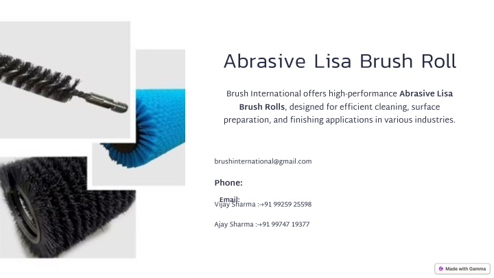 abrasive lisa brush roll