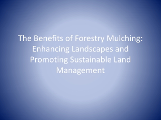 The Benefits of Forestry Mulching: Enhancing Landscapes and Promoting