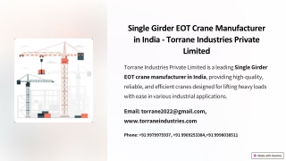 Single Girder EOT Crane Manufacturer in India - Torrane Industries Private Limited