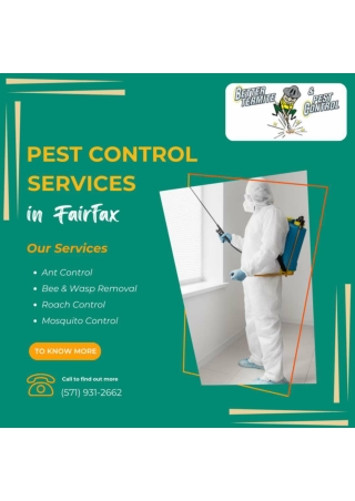 Mosquito Extermination Services by Better Termite & Pest Control Services in Arl