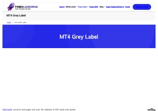 MT4 Grey Label  Mt4 Grey Label