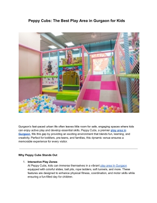 Best Play Area In Gurgaon - Peppy Cubs Fun And Learning