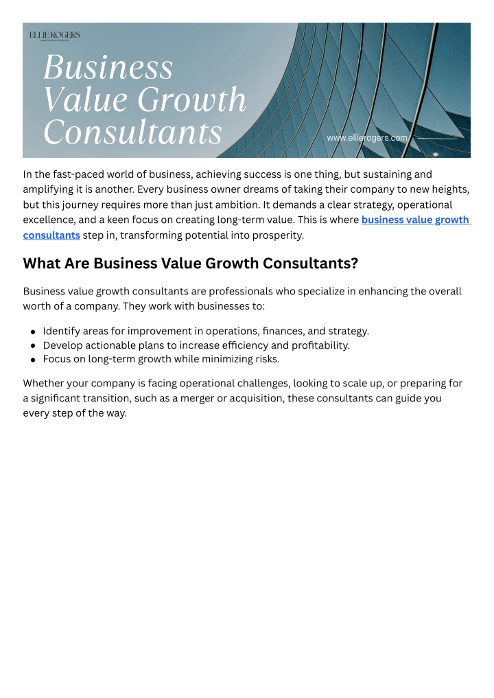 business value growth consultants