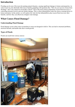 “The Role of Dehumidifiers in Post-Flood Recovery – An Overview”