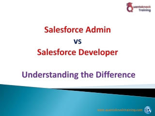 Salesforce Admin vs Salesforce developer