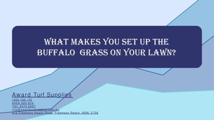 what makes you set up the buffalo grass on your