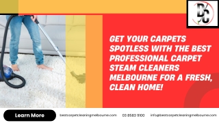 Get your carpets spotless with the best Professional Carpet Steam Cleaners Melbourne for a fresh, clean home!