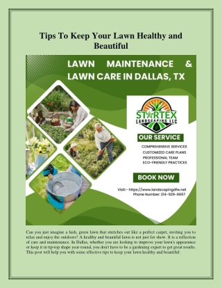 Tips To Keep Your Lawn Healthy and Beautiful