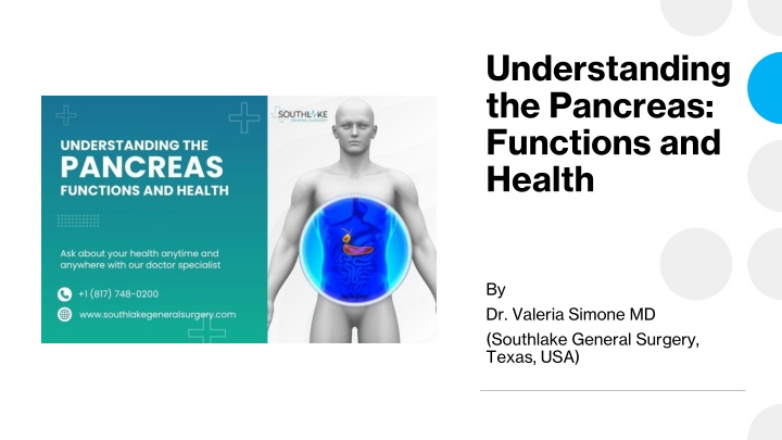 understanding the pancreas functions and health