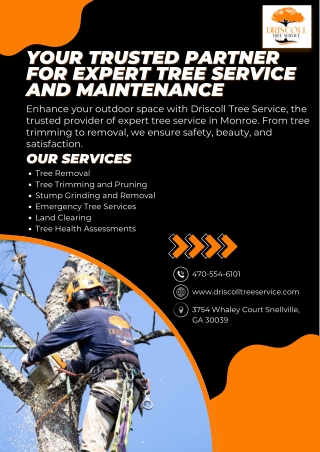 Your Trusted Partner for Expert Tree Service and Maintenance