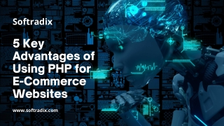 5 Key Advantages of Using PHP for E-Commerce Websites