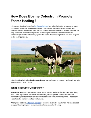 how does bovine colostrum promote faster healing