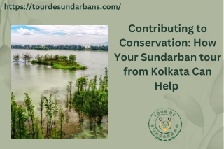 Contributing to Conservation How Your Kolkata to Sundarbans Tour Can Help