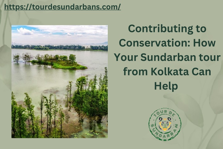 https tourdesundarbans com