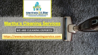 Fresh and Flawless Floors-- Carpet Cleaning Roanoke VA