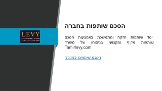 tamirlevy com